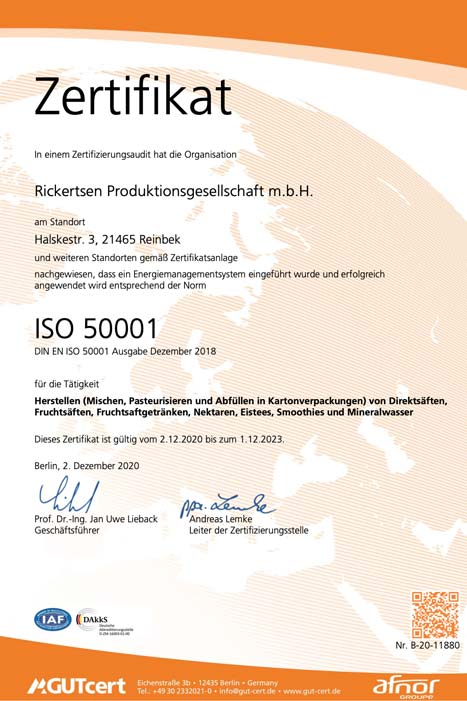 vorschau rickertsen ISO 50001
